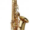 ALTO SAX - UNLACQUERED BRASS