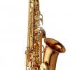 ALTO SAX - BRONZE