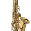 ALTO SAX - SOLID SILVER BODY & NECK - BRASS BELL & BOW