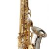 SAX ALTO - ARGENT MASSIF