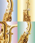 Yanagisawa YBYS